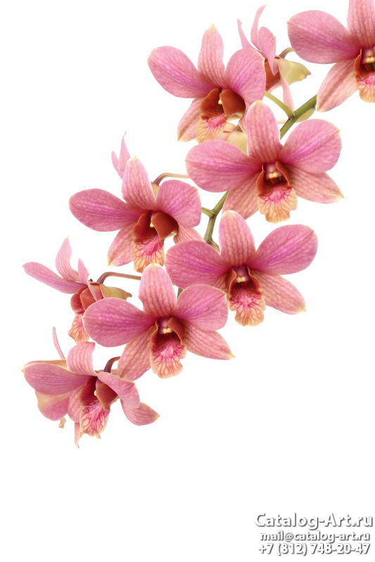 Натяжные потолки с фотопечатью - Розовые орхидеи 100